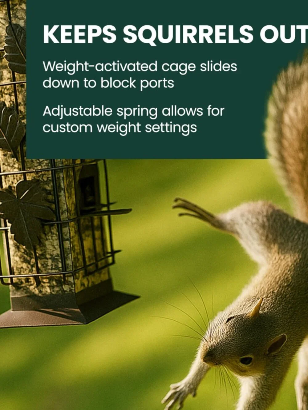 Perky-Pet 336-1SR Squirrel-Be-Gone Squirrel Proof Bird Feeder, 2LB, Outdoor Wild